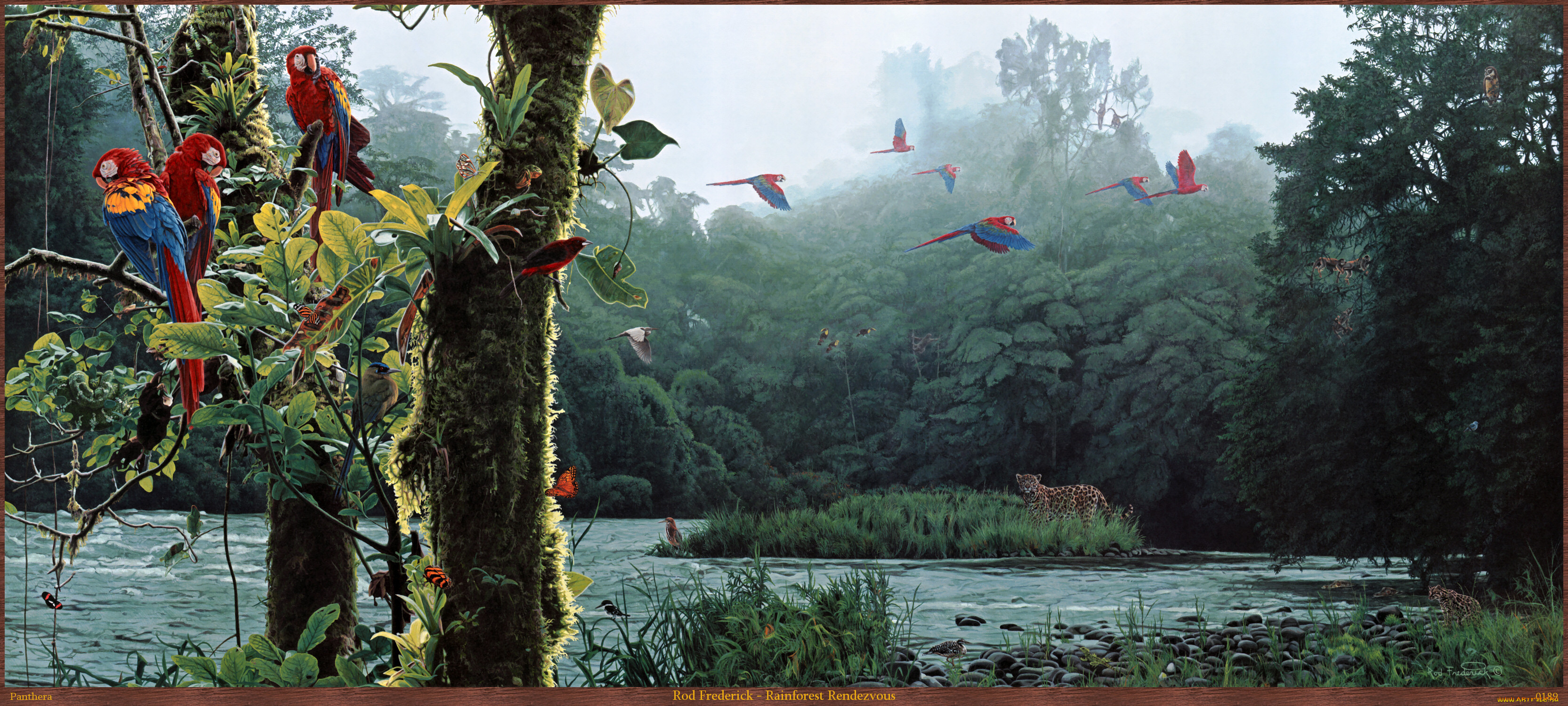 rod, frederick, rainforest, rendezvous, , , , , , 